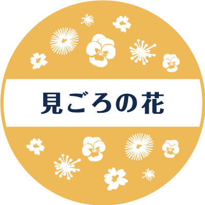 banner_right_calendar