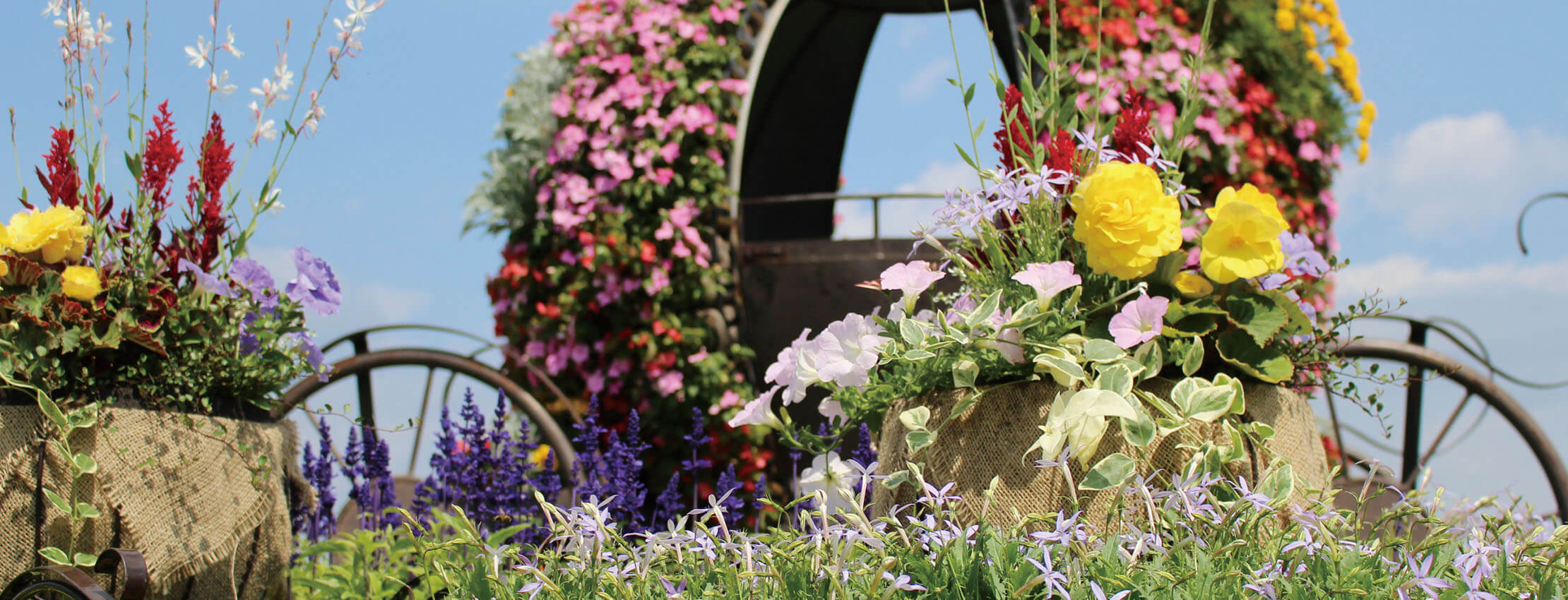 ガーデンエリア