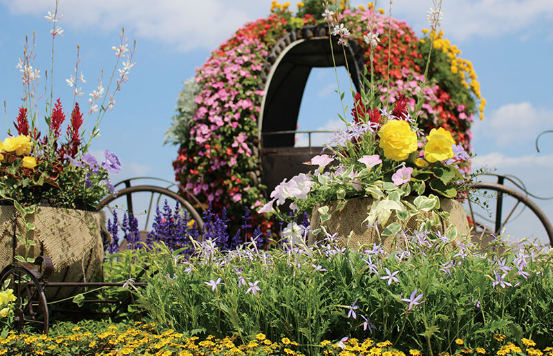 ガーデンエリア